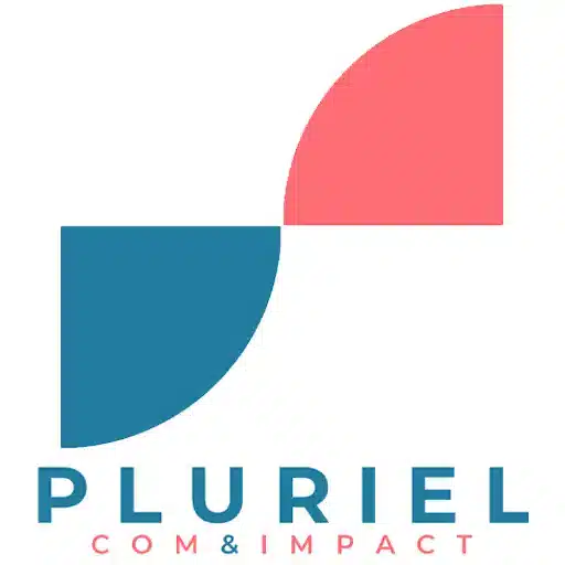 Pluriel